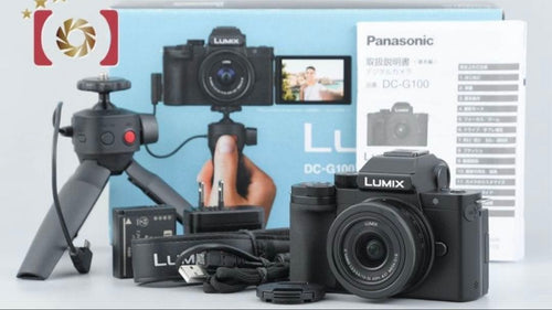 Panasonic Mirrorless Interchangeable Lips Lumix Dc-G100V