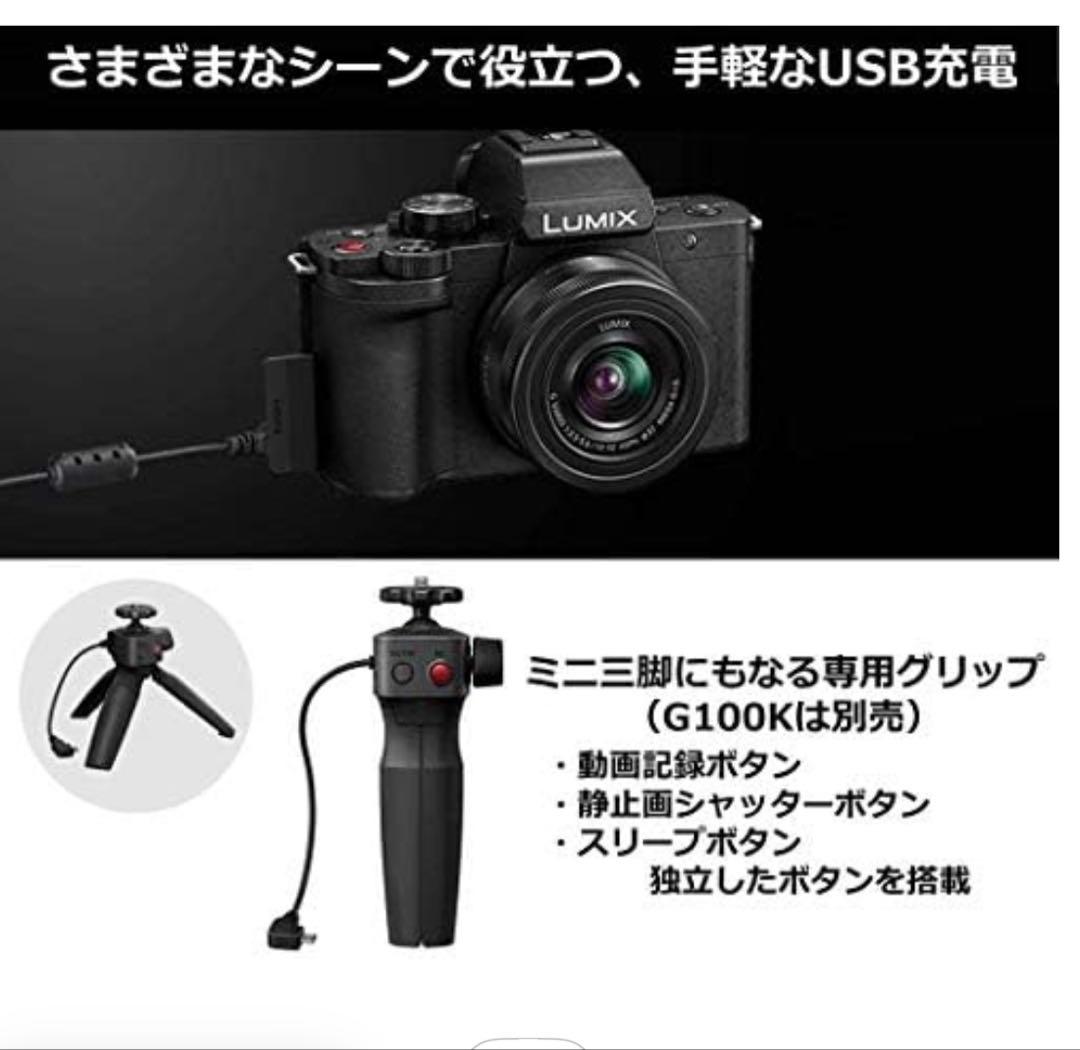 Panasonic Mirrorless Interchangeable Lips Lumix Dc-G100V