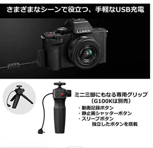 Panasonic Mirrorless Interchangeable Lips Lumix Dc-G100V