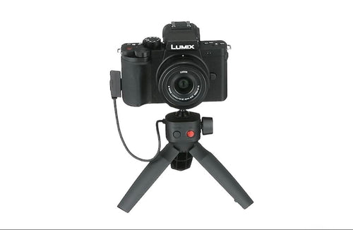 Panasonic Mirrorless Interchangeable Lips Lumix Dc-G100V