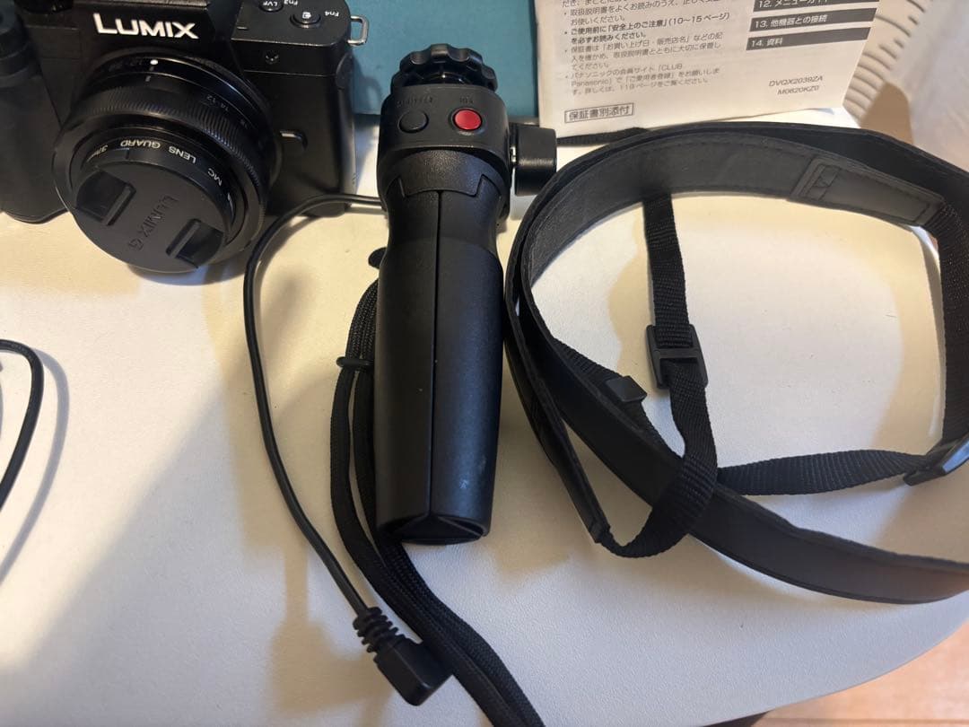 Panasonic Mirrorless Interchangeable Lips Lumix Dc-G100V