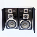 Yamaha Speakers Ns-30X