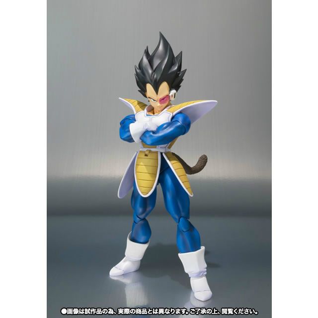 Bandai Others S.H.Figuarts(