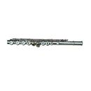 Yamaha Flutes Yfl211S K56
