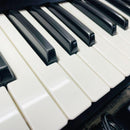 Keyboard Electronic Piano Roland Sh-201