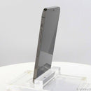 Apple Smartphone Body Iphone12 Pro Max 256Gb Mgcy3J A Sim 295