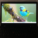 Lenovo Windows Notebook Body Thinkpad L15 Gen 1 I5-10310U 16Gb Ssd256Gb