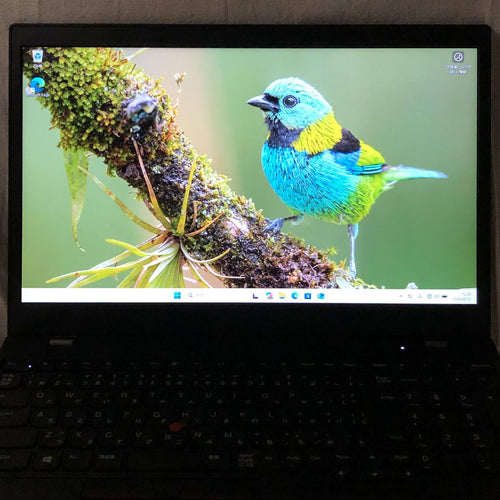 Lenovo Windows Notebook Body Thinkpad L15 Gen 1 I5-10310U 16Gb Ssd256Gb