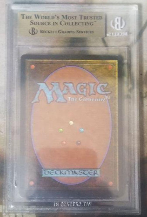 Magic: The Gathering (Japanese) Elvish Spirit Guide Bgs9.5