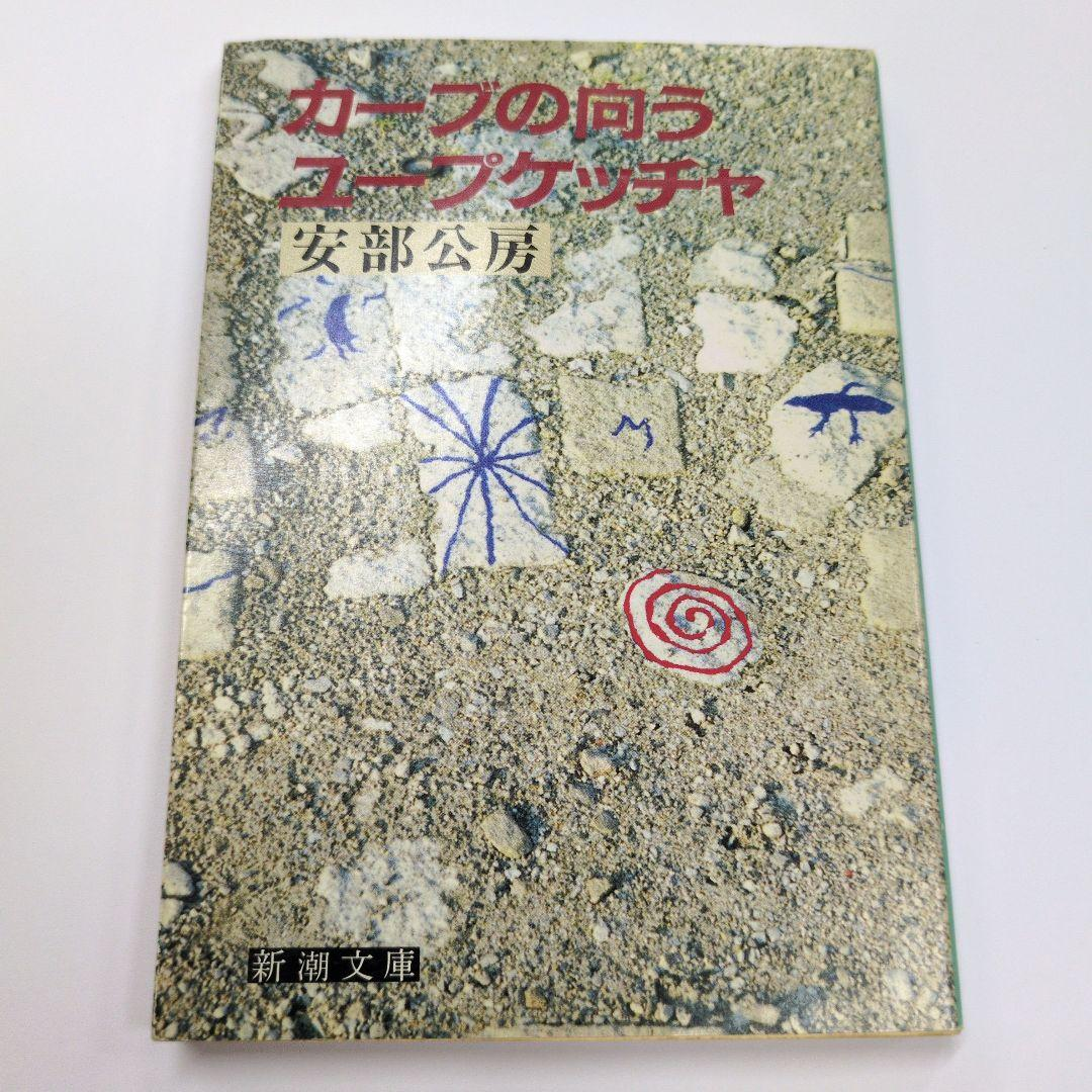 Literature Novel