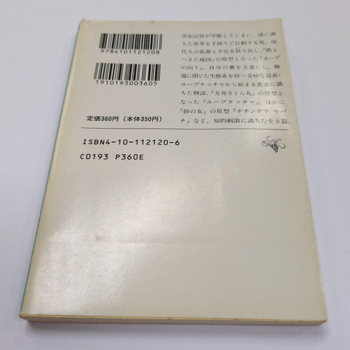 Literature Novel