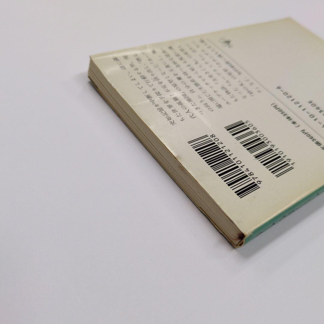 Literature Novel