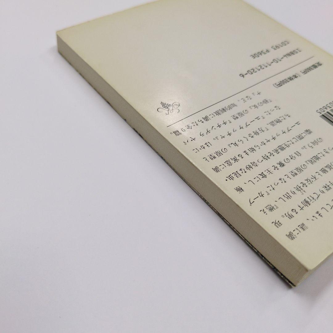 Literature Novel