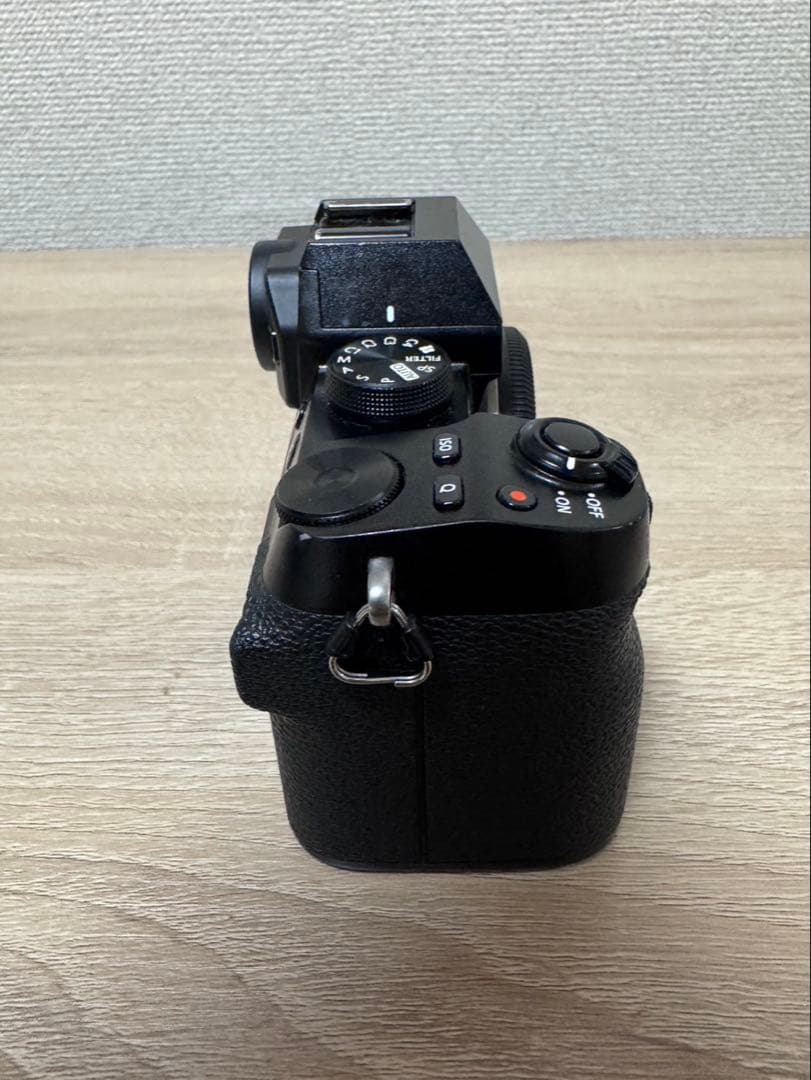 Mirrorless Interchangeable Lens Cameras