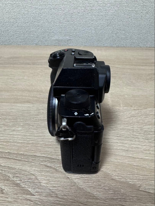 Mirrorless Interchangeable Lens Cameras