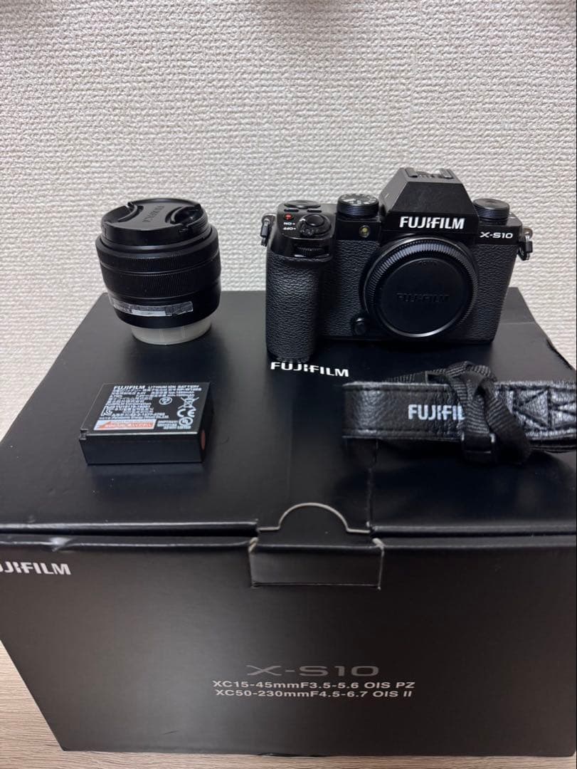 Mirrorless Interchangeable Lens Cameras