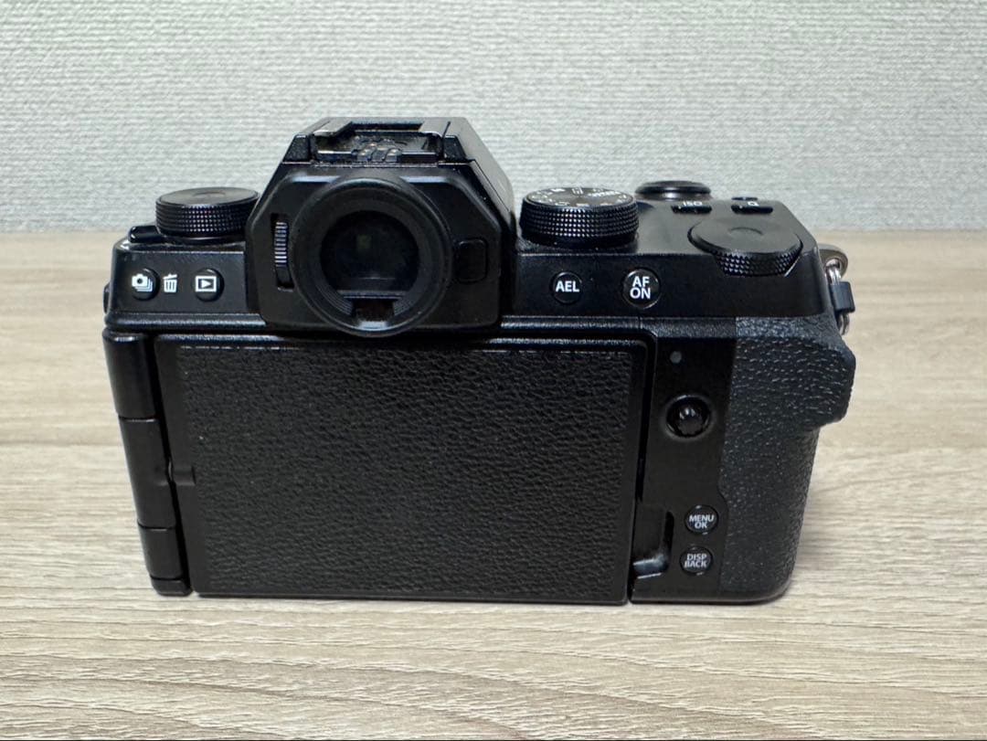 Mirrorless Interchangeable Lens Cameras