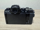 Mirrorless Interchangeable Lens Cameras