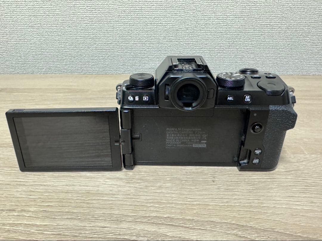 Mirrorless Interchangeable Lens Cameras