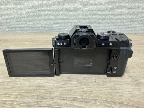 Mirrorless Interchangeable Lens Cameras