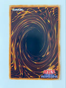 Yu -Gi -Oh! Ocg Duel Monsters 301-056 5