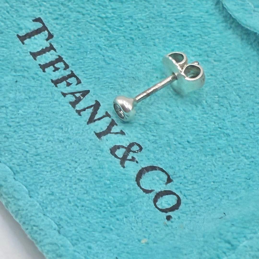 Tiffany Earrings (Single) P