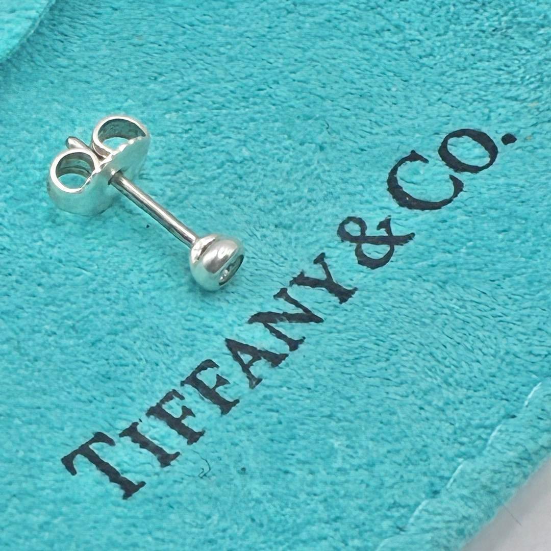 Tiffany Earrings (Single) P