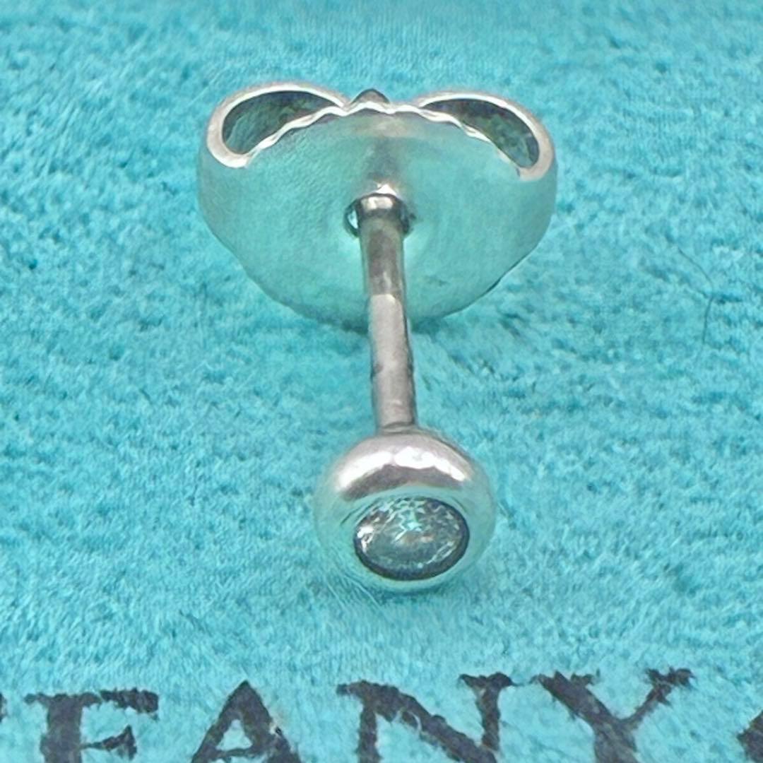Tiffany Earrings (Single) P