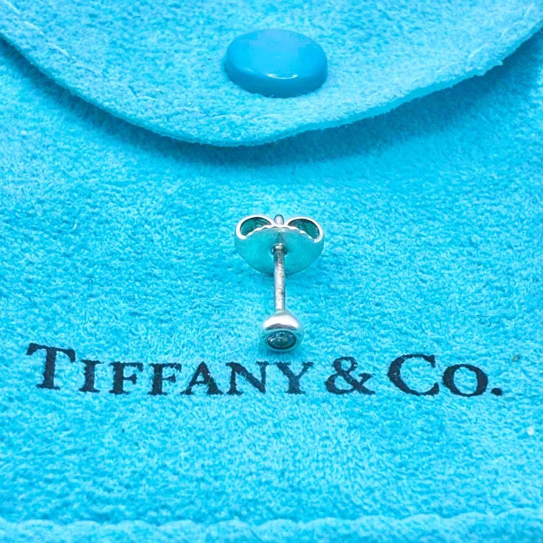 Tiffany Earrings (Single) P