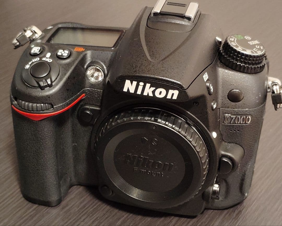 Nikon Digital Slrs D7000
