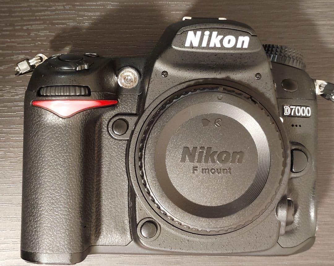Nikon Digital Slrs D7000
