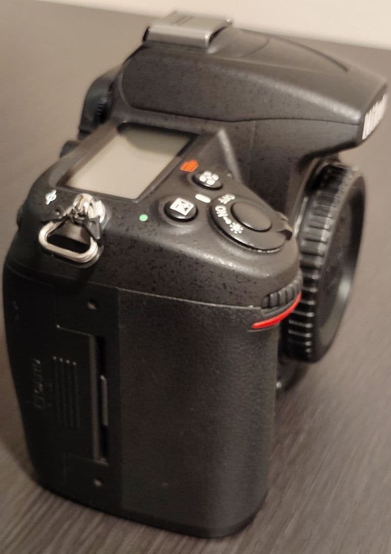 Nikon Digital Slrs D7000