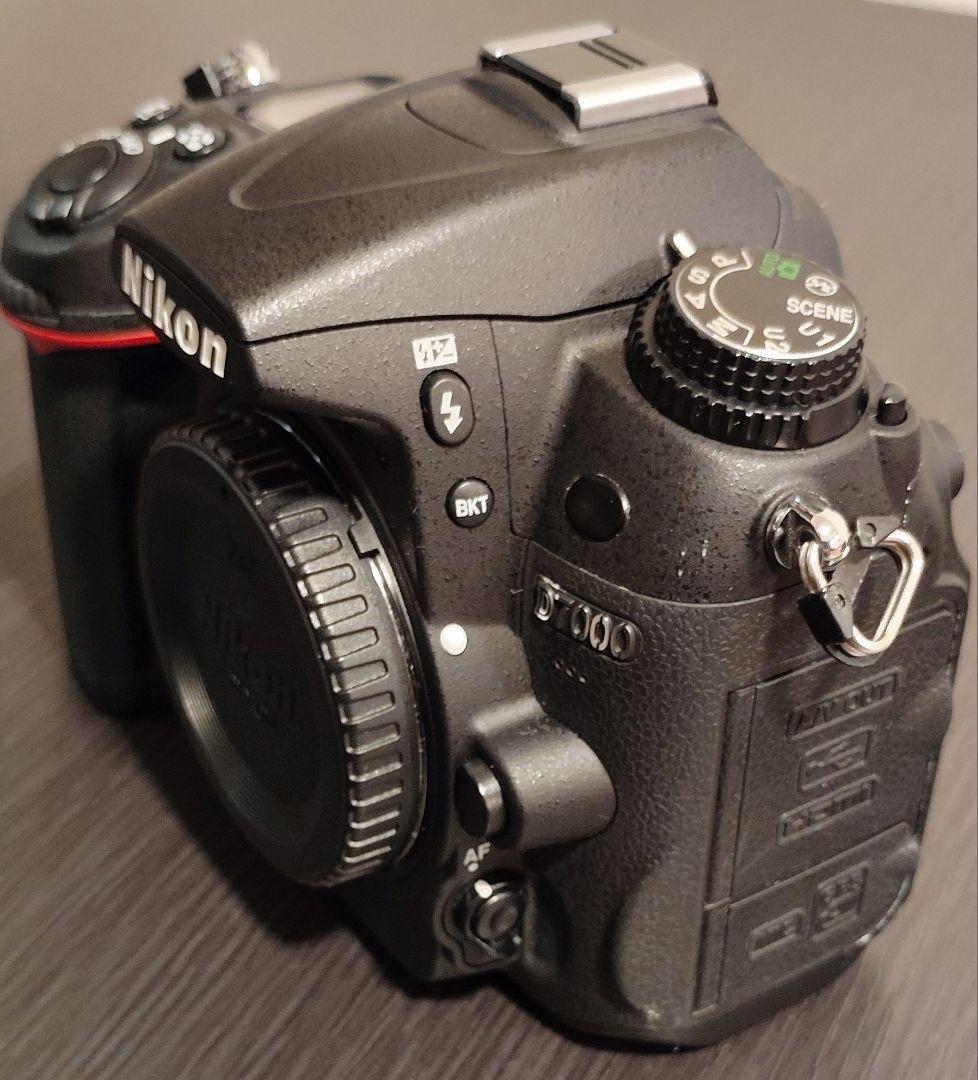Nikon Digital Slrs D7000