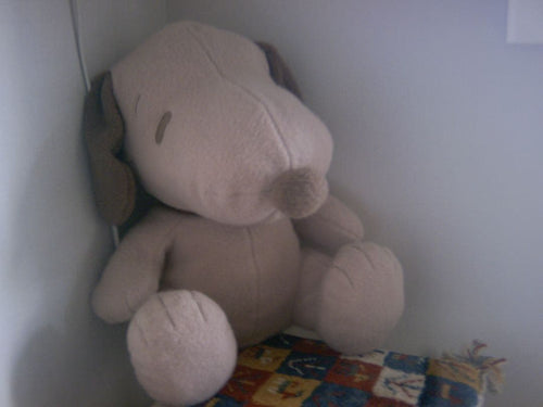 Minox Toy Camera (Digital) Classic Leica M3