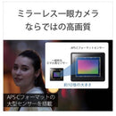 Sony Mirrorless Interchangeable Lips Vlog Zv-E10