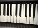 Yamaha Midi Keyboard Pad Kx49 49
