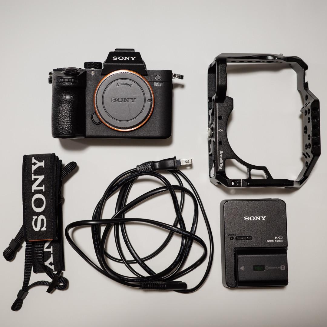 Sony Mirrorless Interchangeable Lips 7 Iii