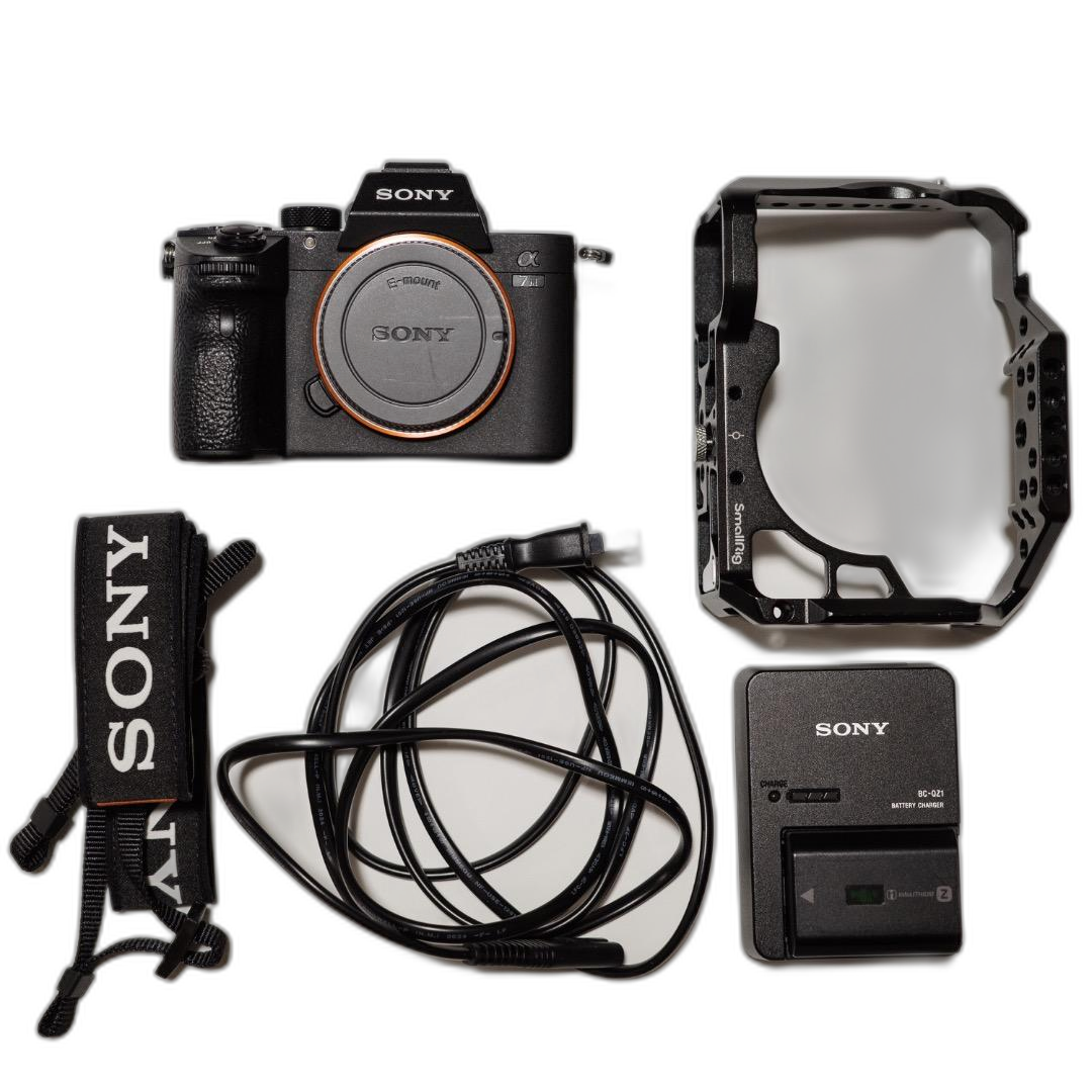 Sony Mirrorless Interchangeable Lips 7 Iii