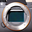 Sony Mirrorless Interchangeable Lips 7 Iii