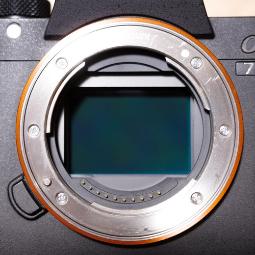 Sony Mirrorless Interchangeable Lips 7 Iii