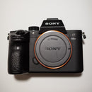 Sony Mirrorless Interchangeable Lips 7 Iii