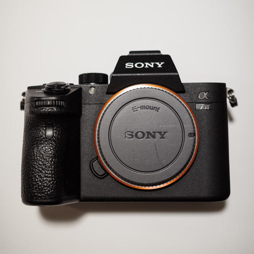 Sony Mirrorless Interchangeable Lips 7 Iii