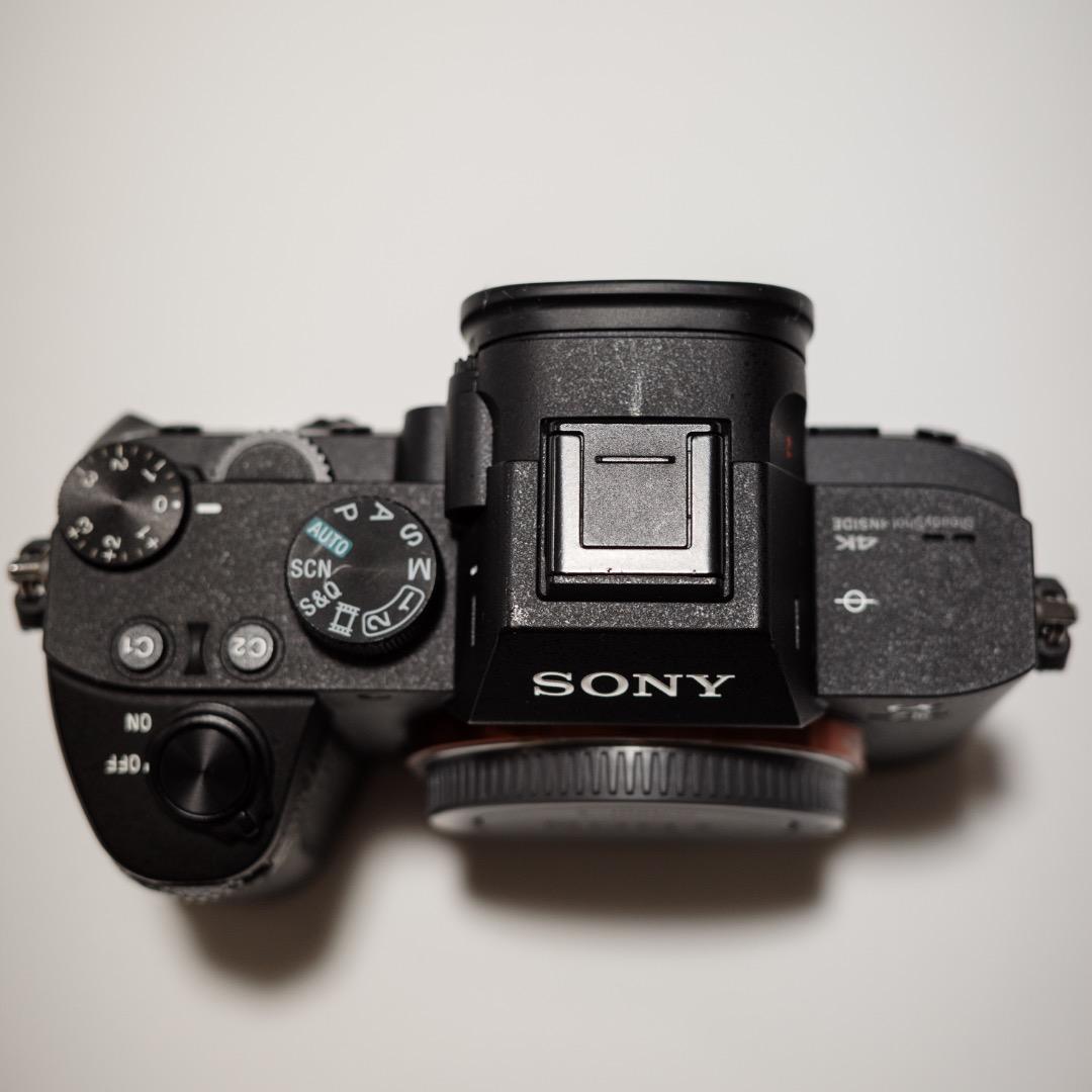 Sony Mirrorless Interchangeable Lips 7 Iii