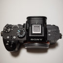 Sony Mirrorless Interchangeable Lips 7 Iii
