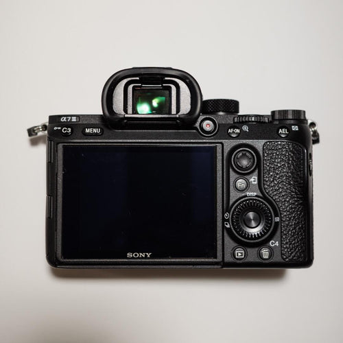 Sony Mirrorless Interchangeable Lips 7 Iii