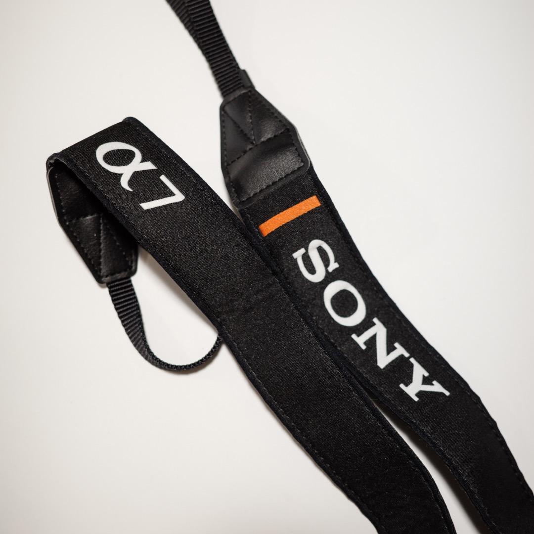 Sony Mirrorless Interchangeable Lips 7 Iii