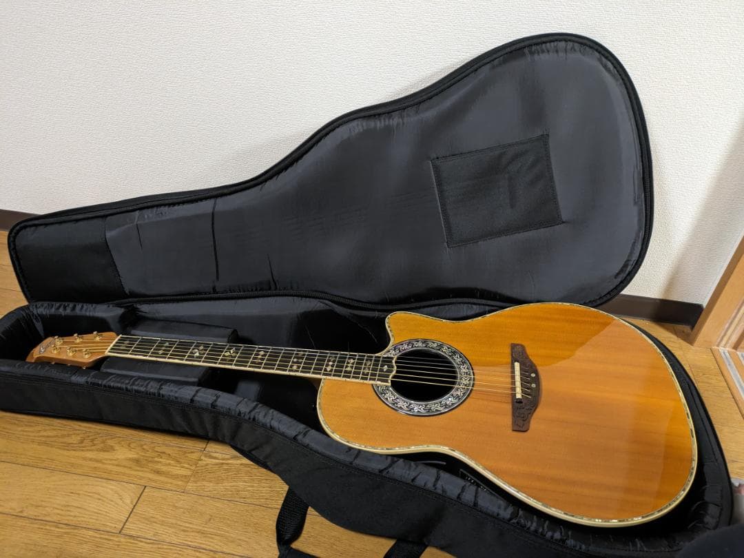 Yamaha Guitar Case