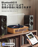Record Player Body Bluetooth