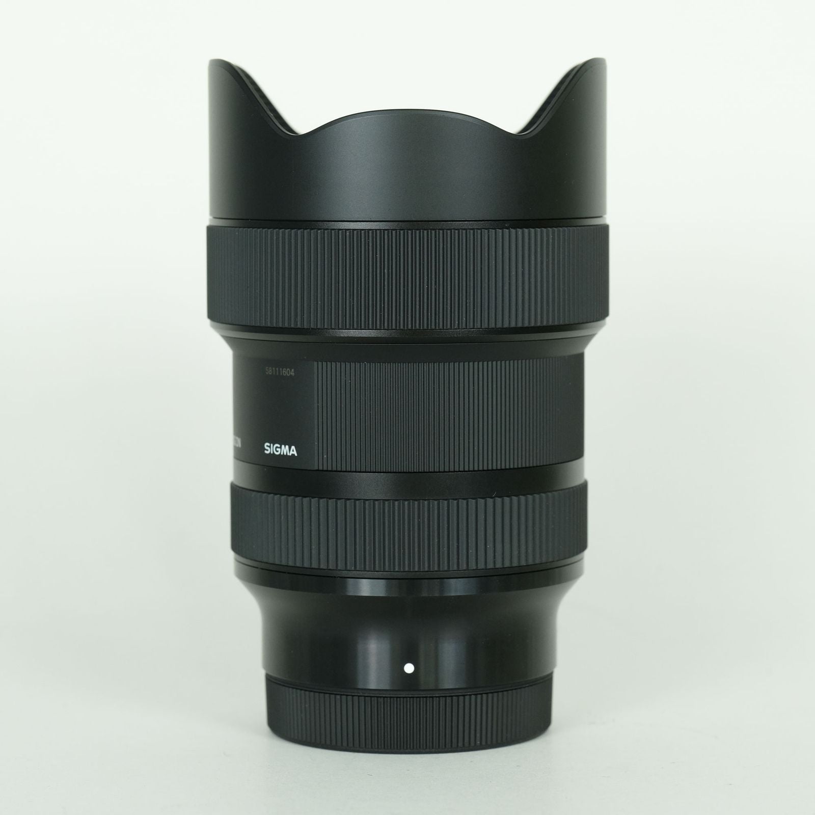 Sigma Lens (Zoom) 14-24Mm F2.8 Dg Dn Art L Leica