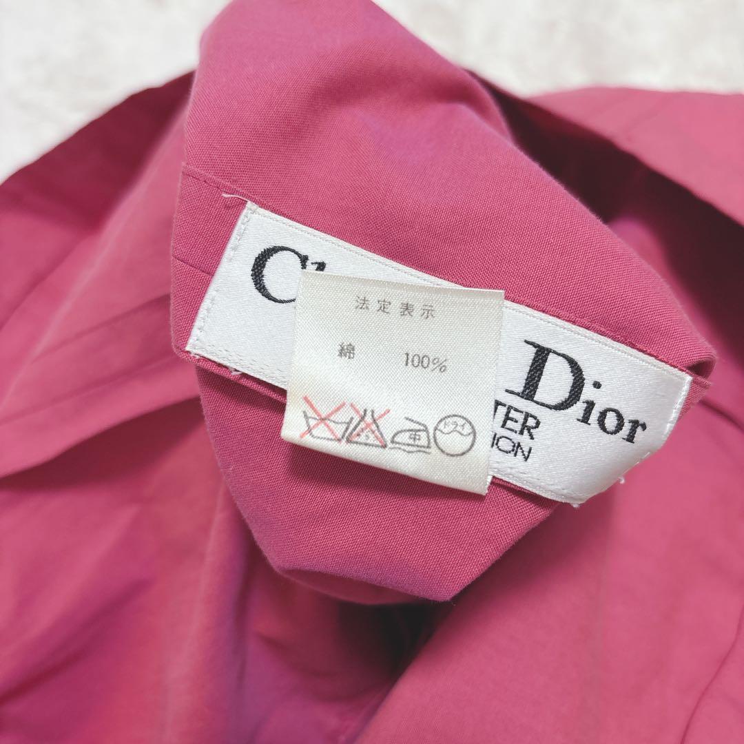 Christian Dior Skirt Outfits